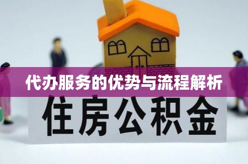 海东代办服务的优势与流程解析