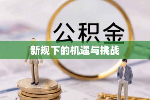 海东新规下的机遇与挑战