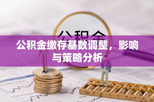 海东公积金缴存基数调整，影响与策略分析