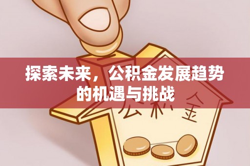 海东探索未来，公积金发展趋势的机遇与挑战