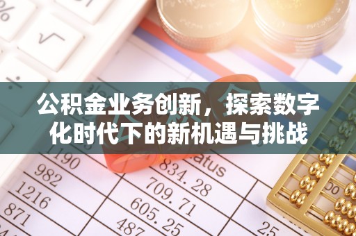 海东公积金业务创新，探索数字化时代下的新机遇与挑战