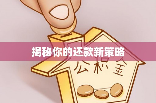 海东揭秘你的还款新策略