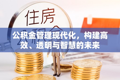 海东公积金管理现代化，构建高效、透明与智慧的未来