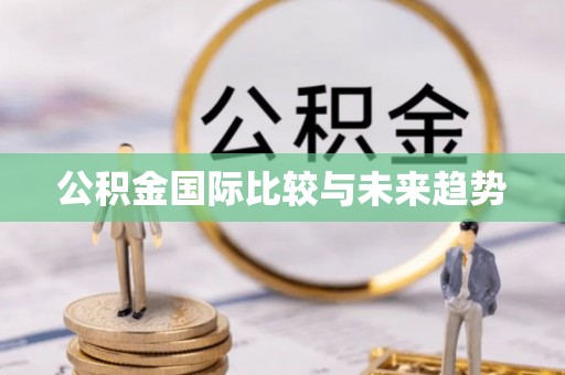 海东公积金国际比较与未来趋势