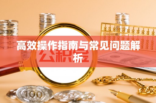 海东高效操作指南与常见问题解析