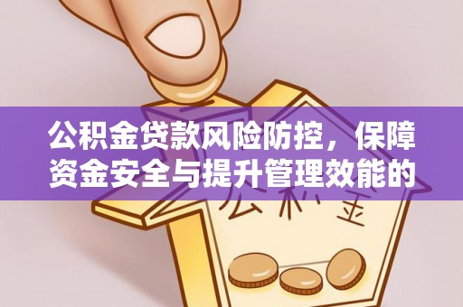 海东公积金贷款风险防控，保障资金安全与提升管理效能的多维度探索