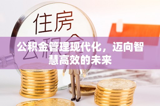 海东公积金管理现代化，迈向智慧高效的未来
