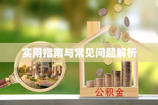 海东实用指南与常见问题解析