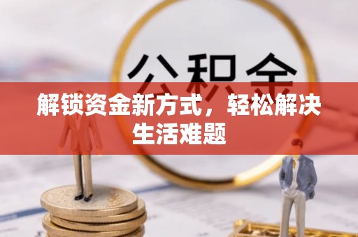 海东解锁资金新方式，轻松解决生活难题