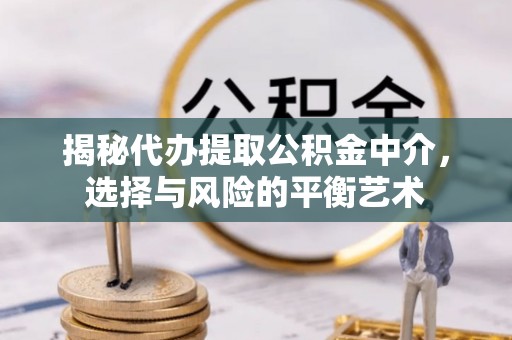 海东揭秘代办提取公积金中介，选择与风险的平衡艺术