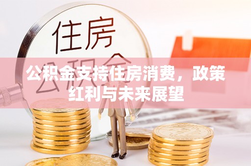 海东公积金支持住房消费，政策红利与未来展望
