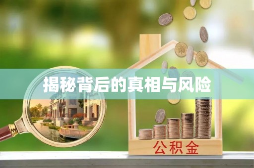 海东揭秘背后的真相与风险