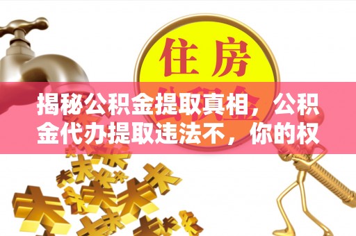 海东揭秘公积金提取真相，公积金代办提取违法不，你的权益如何保障？