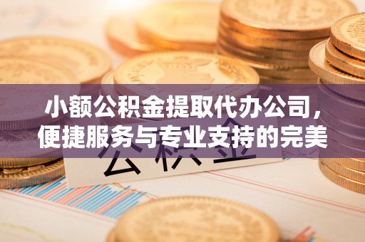海东小额公积金提取代办公司，便捷服务与专业支持的完美结合