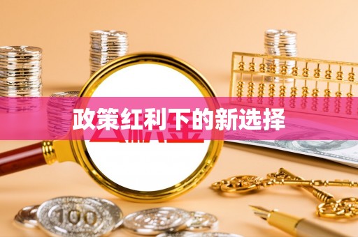 海东政策红利下的新选择