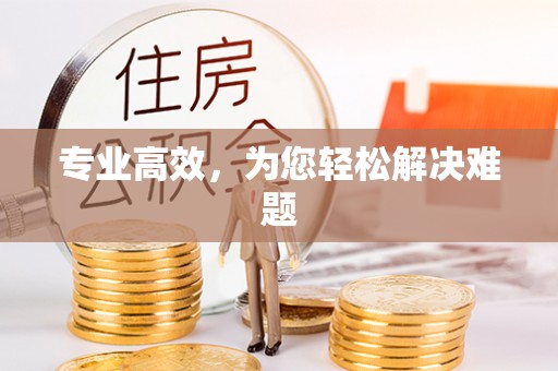 海东专业高效，为您轻松解决难题