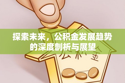 海东探索未来，公积金发展趋势的深度剖析与展望