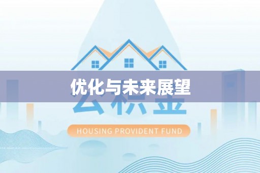 海东优化与未来展望