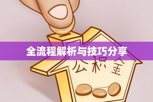 海东全流程解析与技巧分享