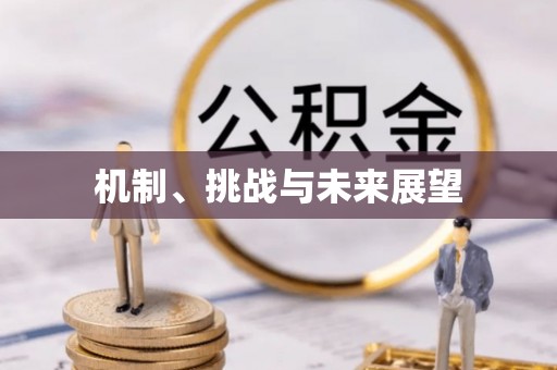 海东机制、挑战与未来展望