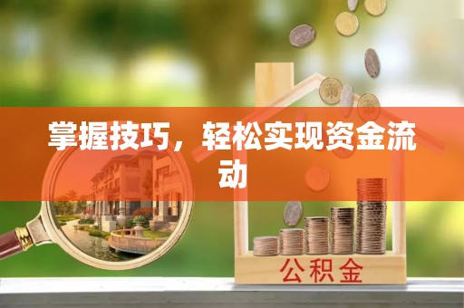 海东掌握技巧，轻松实现资金流动